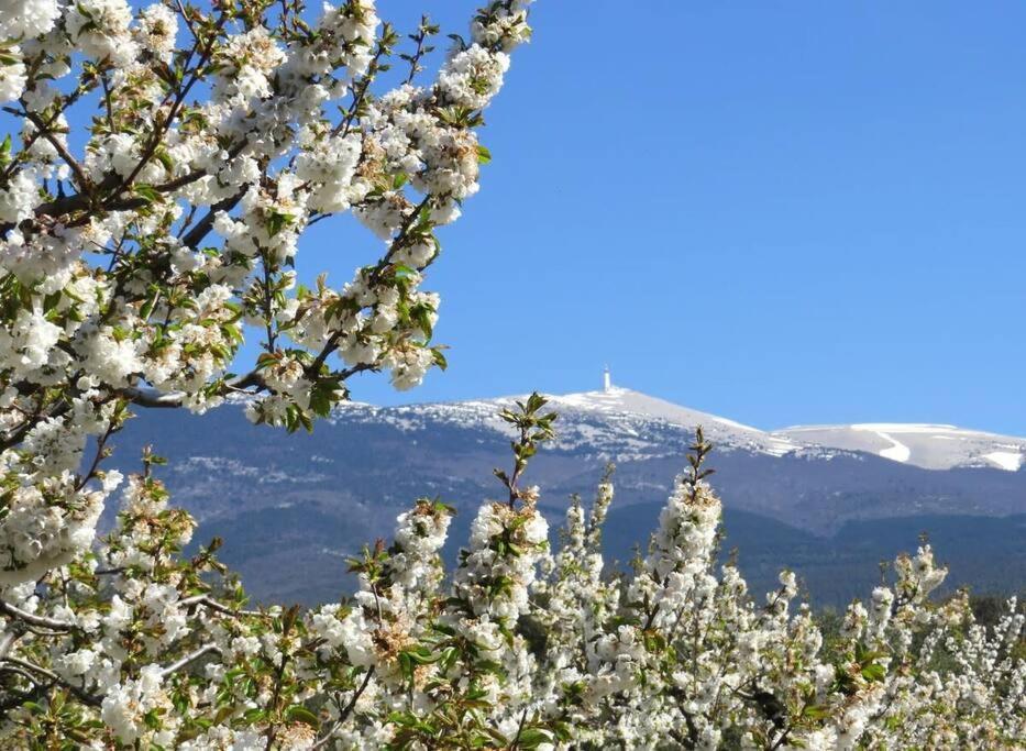 Willa Les Tarraiettes Au Pied Du Luberon Lourmarin Zewnętrze zdjęcie