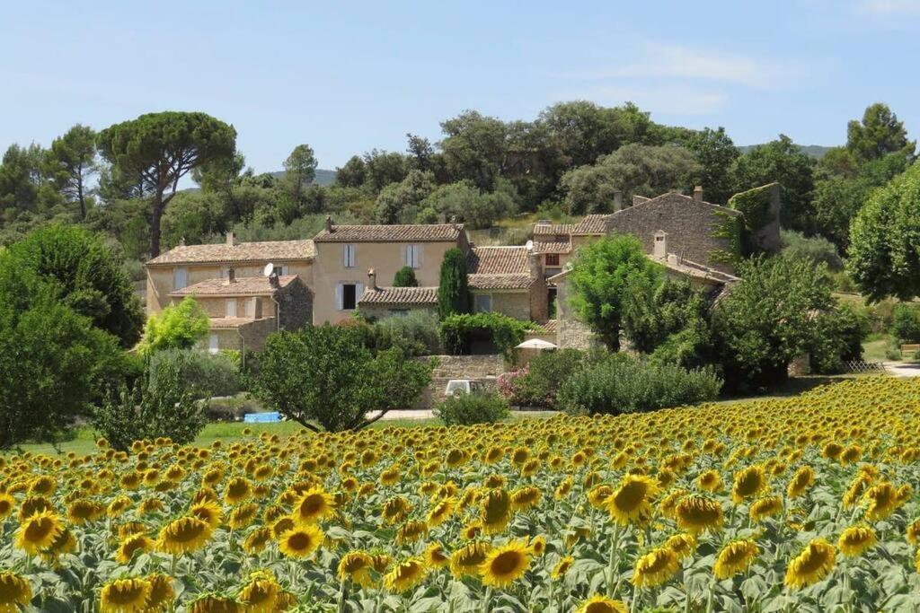 Willa Les Tarraiettes Au Pied Du Luberon Lourmarin Zewnętrze zdjęcie